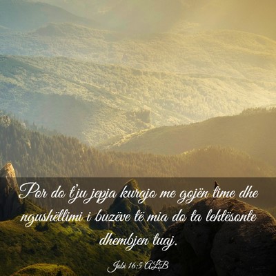 Picture 03 - Jobi 16:5 ALB - Por do t’ju jepja kurajo me gojën time dhe - Bible Verse Picture