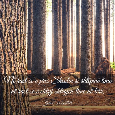 Picture 03 - Jobi 17:13 ALB - Në rast se e pres Sheolin si shtëpinë time në - Bible Verse Picture