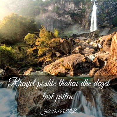 Picture 03 - Jobi 18:16 ALB - Rrënjët poshtë thahen dhe degët lart - Bible Verse Picture