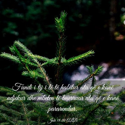 Picture 03 - Jobi 18:20 ALB - Fundi i tij i lë të habitur ata që e kanë - Bible Verse Picture