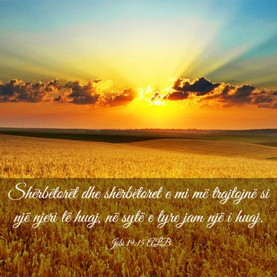 Picture 03 - Jobi 19:15 ALB - Shërbëtorët dhe shërbëtoret e mi më - Bible Verse Picture