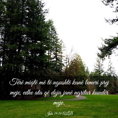 Picture 03 - Jobi 19:19 ALB - Tërë miqtë më të ngushtë kanë lemeri prej - Bible Verse Picture
