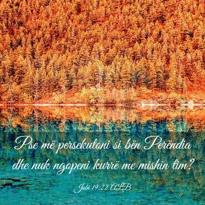 Picture 03 - Jobi 19:22 ALB - Pse më persekutoni si bën Perëndia dhe nuk - Bible Verse Picture