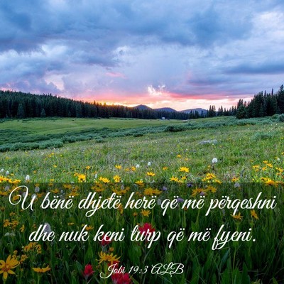 Picture 03 - Jobi 19:3 ALB - U bënë dhjetë herë që më përqeshni dhe nuk - Bible Verse Picture