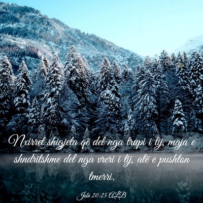 Picture 03 - Jobi 20:25 ALB - Nxirret shigjeta që del nga trupi i tij, maja e - Bible Verse Picture