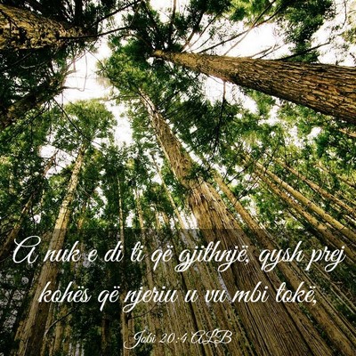 Picture 03 - Jobi 20:4 ALB - A nuk e di ti që gjithnjë, qysh prej kohës që - Bible Verse Picture