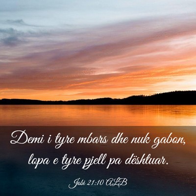 Picture 03 - Jobi 21:10 ALB - Demi i tyre mbars dhe nuk gabon, lopa e tyre - Bible Verse Picture