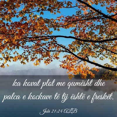 Picture 03 - Jobi 21:24 ALB - ka kovat plot me qumësht dhe palca e kockave të - Bible Verse Picture