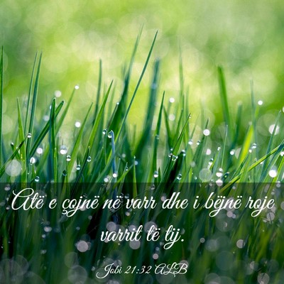 Picture 03 - Jobi 21:32 ALB - Atë e çojnë në varr dhe i bëjnë roje varrit - Bible Verse Picture