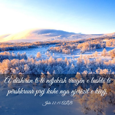 Picture 03 - Jobi 22:15 ALB - A dëshiron ti të ndjekësh rrugën e lashtë - Bible Verse Picture
