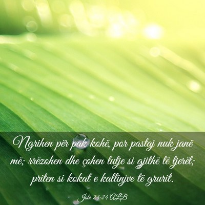 Picture 03 - Jobi 24:24 ALB - Ngrihen për pak kohë, por pastaj nuk janë më; - Bible Verse Picture