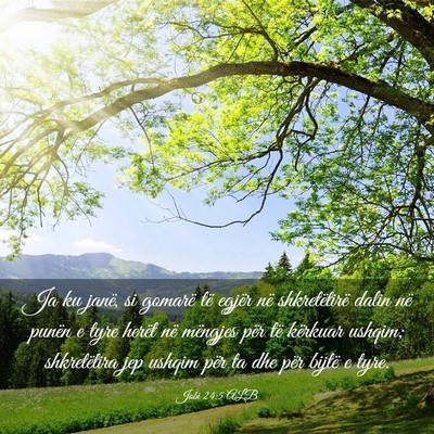 Picture 03 - Jobi 24:5 ALB - Ja ku janë, si gomarë të egjër në - Bible Verse Picture