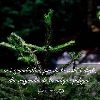 Picture 03 - Jobi 27:17 ALB - ai i grumbullon, por do t’i veshë i drejti, - Bible Verse Picture