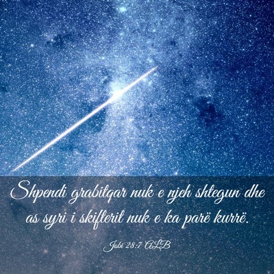Picture 03 - Jobi 28:7 ALB - Shpendi grabitqar nuk e njeh shtegun dhe as syri - Bible Verse Picture
