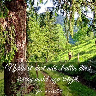 Picture 03 - Jobi 28:9 ALB - Njeriu vë dorë mbi strallin dhe i rrëzon malet - Bible Verse Picture
