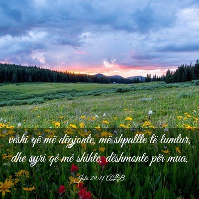 Picture 03 - Jobi 29:11 ALB - veshi që më dëgjonte, më shpallte të lumtur, - Bible Verse Picture