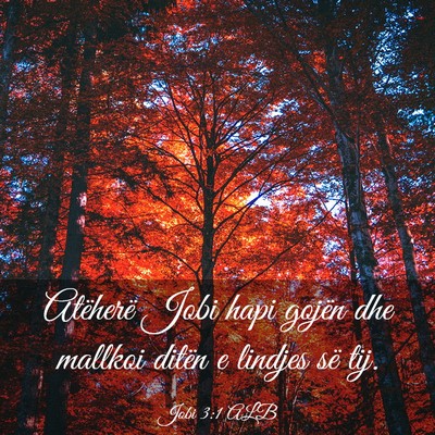 Picture 03 - Jobi 3:1 ALB - Atëherë Jobi hapi gojën dhe mallkoi ditën e - Bible Verse Picture