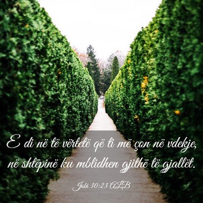 Picture 03 - Jobi 30:23 ALB - E di në të vërtetë që ti më çon në - Bible Verse Picture