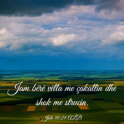 Picture 03 - Jobi 30:29 ALB - Jam bërë vëlla me çakallin dhe shok me - Bible Verse Picture