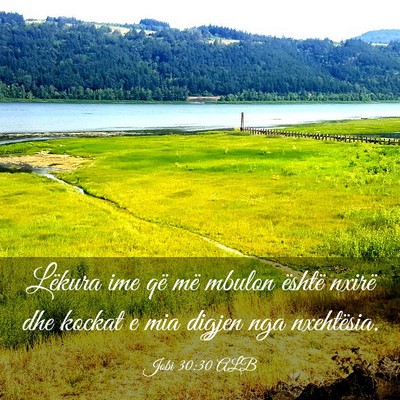 Picture 03 - Jobi 30:30 ALB - Lëkura ime që më mbulon është nxirë dhe - Bible Verse Picture