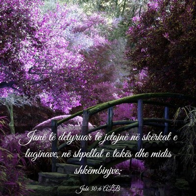Picture 03 - Jobi 30:6 ALB - Janë të detyruar të jetojnë në skërkat e - Bible Verse Picture