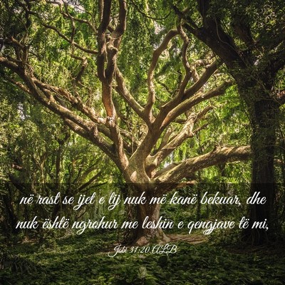 Picture 03 - Jobi 31:20 ALB - në rast se ijet e tij nuk më kanë bekuar, dhe - Bible Verse Picture