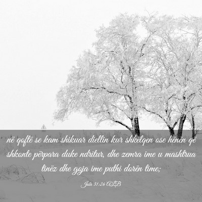 Picture 03 - Jobi 31:26 ALB - në qoftë se kam shikuar diellin kur shkëlqen - Bible Verse Picture