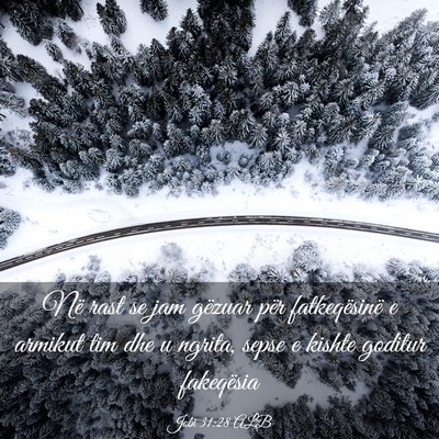 Picture 03 - Jobi 31:28 ALB - Në rast se jam gëzuar për fatkeqësinë e - Bible Verse Picture
