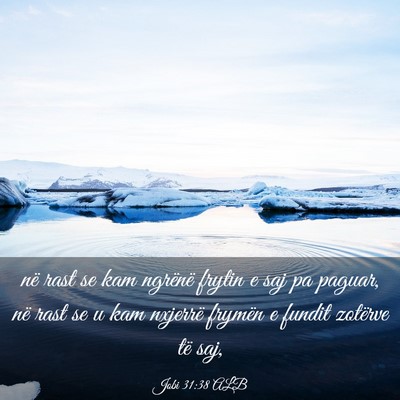 Picture 03 - Jobi 31:38 ALB - në rast se kam ngrënë frytin e saj pa paguar, - Bible Verse Picture