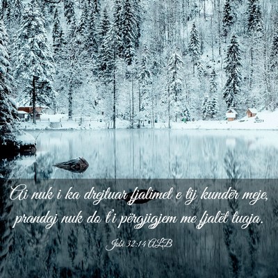 Picture 03 - Jobi 32:14 ALB - Ai nuk i ka drejtuar fjalimet e tij kundër meje, - Bible Verse Picture