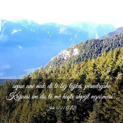 Picture 03 - Jobi 32:22 ALB - sepse unë nuk di të bëj lajka, përndryshe - Bible Verse Picture