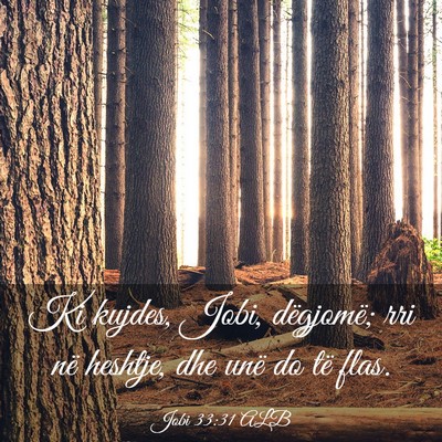 Picture 03 - Jobi 33:31 ALB - Ki kujdes, Jobi, dëgjomë; rri në heshtje, dhe - Bible Verse Picture