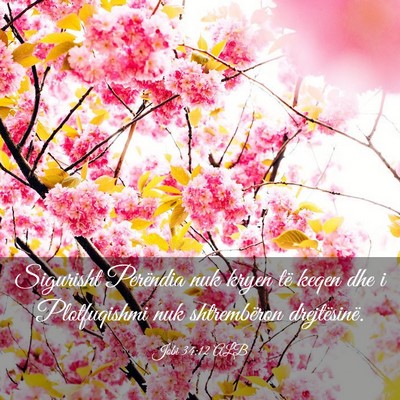 Picture 03 - Jobi 34:12 ALB - Sigurisht Perëndia nuk kryen të keqen dhe i - Bible Verse Picture