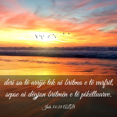 Picture 03 - Jobi 34:28 ALB - deri sa të arrijë tek ai britma e të varfrit, - Bible Verse Picture