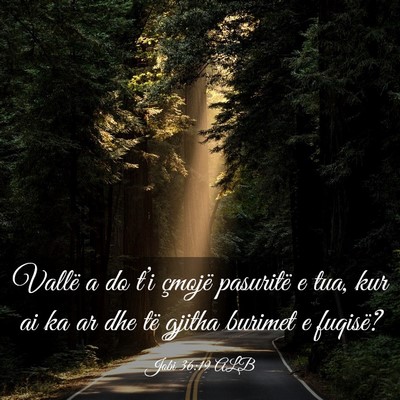 Picture 03 - Jobi 36:19 ALB - Vallë a do t’i çmojë pasuritë e tua, kur ai - Bible Verse Picture