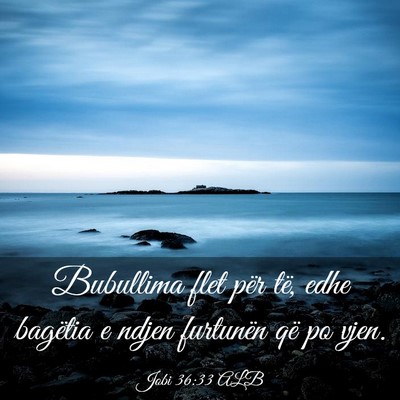 Picture 03 - Jobi 36:33 ALB - Bubullima flet për të, edhe bagëtia e ndjen - Bible Verse Picture