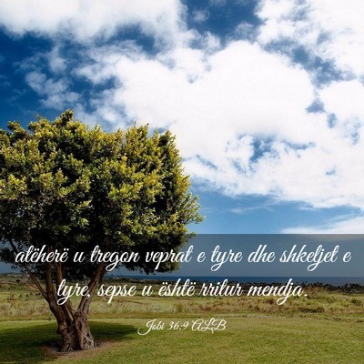 Picture 03 - Jobi 36:9 ALB - atëherë u tregon veprat e tyre dhe shkeljet e - Bible Verse Picture