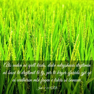 Picture 03 - Jobi 37:12 ALB - Ato enden në qiell kudo, duke ndryshuar - Bible Verse Picture