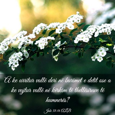 Picture 03 - Jobi 38:16 ALB - A ke arritur vallë deri në burimet e detit ose - Bible Verse Picture