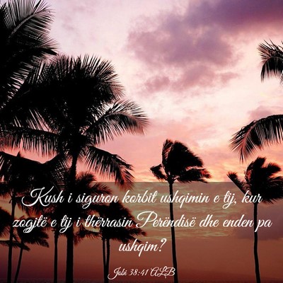 Picture 03 - Jobi 38:41 ALB - Kush i siguron korbit ushqimin e tij, kur zogjtë - Bible Verse Picture
