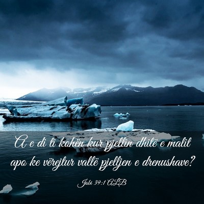 Picture 03 - Jobi 39:1 ALB - A e di ti kohën kur pjellin dhitë e malit apo - Bible Verse Picture