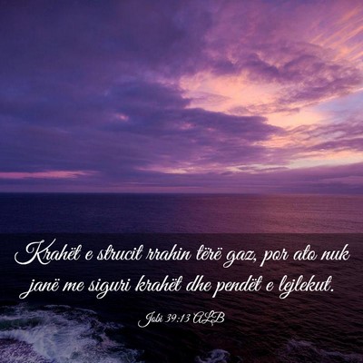 Picture 03 - Jobi 39:13 ALB - Krahët e strucit rrahin tërë gaz, por ato nuk - Bible Verse Picture