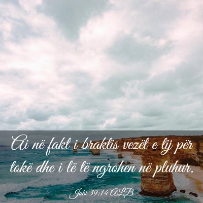 Picture 03 - Jobi 39:14 ALB - Ai në fakt i braktis vezët e tij për tokë dhe - Bible Verse Picture