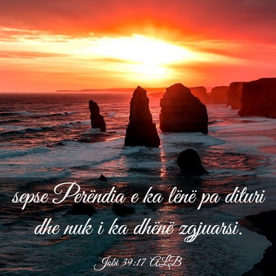 Picture 03 - Jobi 39:17 ALB - sepse Perëndia e ka lënë pa dituri dhe nuk i - Bible Verse Picture
