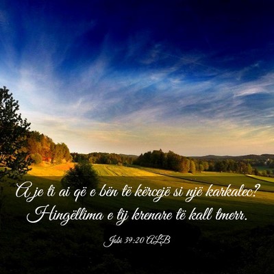 Picture 03 - Jobi 39:20 ALB - A je ti ai që e bën të kërcejë si një - Bible Verse Picture