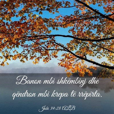 Picture 03 - Jobi 39:28 ALB - Banon mbi shkëmbinj dhe qëndron mbi krepa të - Bible Verse Picture