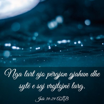 Picture 03 - Jobi 39:29 ALB - Nga lart ajo përgjon gjahun dhe sytë e saj - Bible Verse Picture