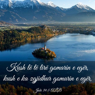 Picture 03 - Jobi 39:5 ALB - Kush lë të lirë gomarin e egër, kush e ka - Bible Verse Picture