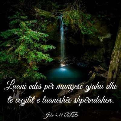 Picture 03 - Jobi 4:11 ALB - Luani vdes për mungesë gjahu dhe të vegjlit e - Bible Verse Picture
