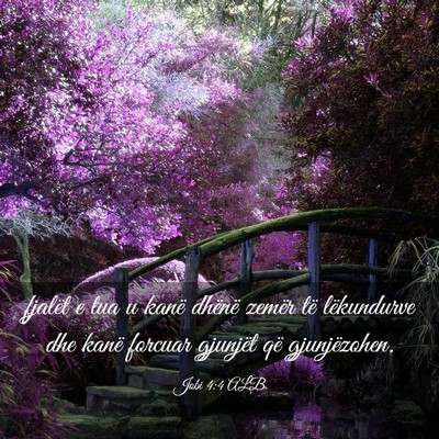 Picture 03 - Jobi 4:4 ALB - fjalët e tua u kanë dhënë zemër të - Bible Verse Picture